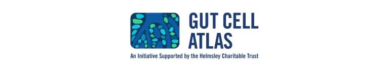 The Gut Cell Atlas