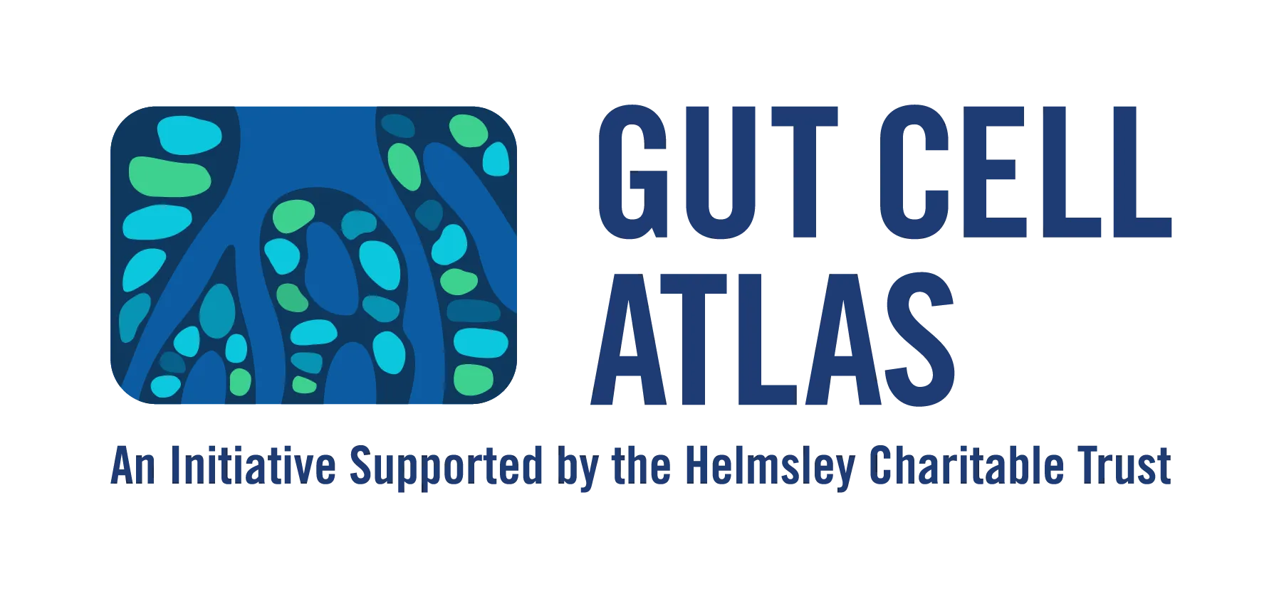 Gut Cell Atlas (Blue, Horizontal, with Attribution)