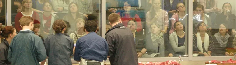 Vet Pathology Training