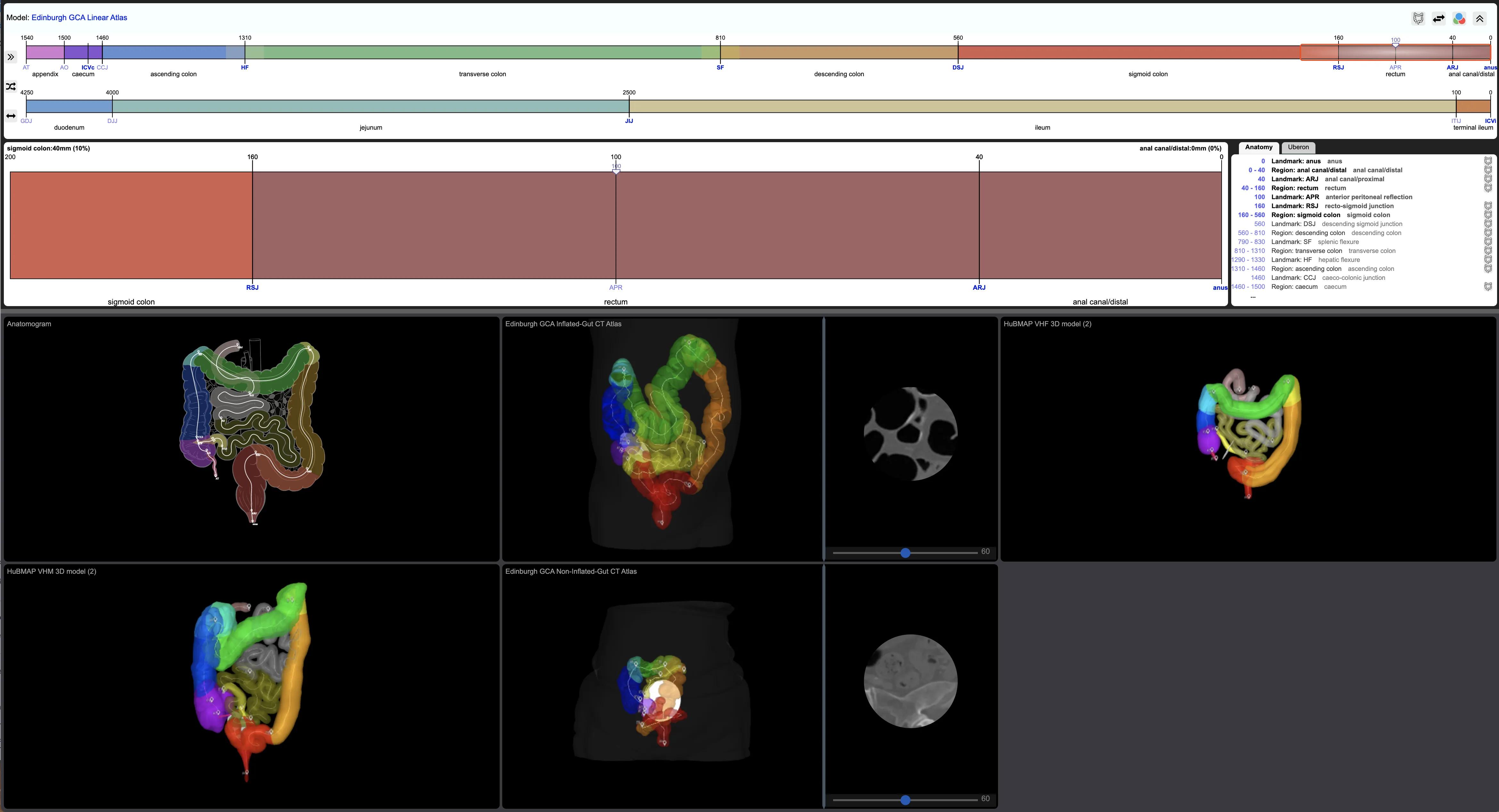 Gut Cell Atlas Viewer