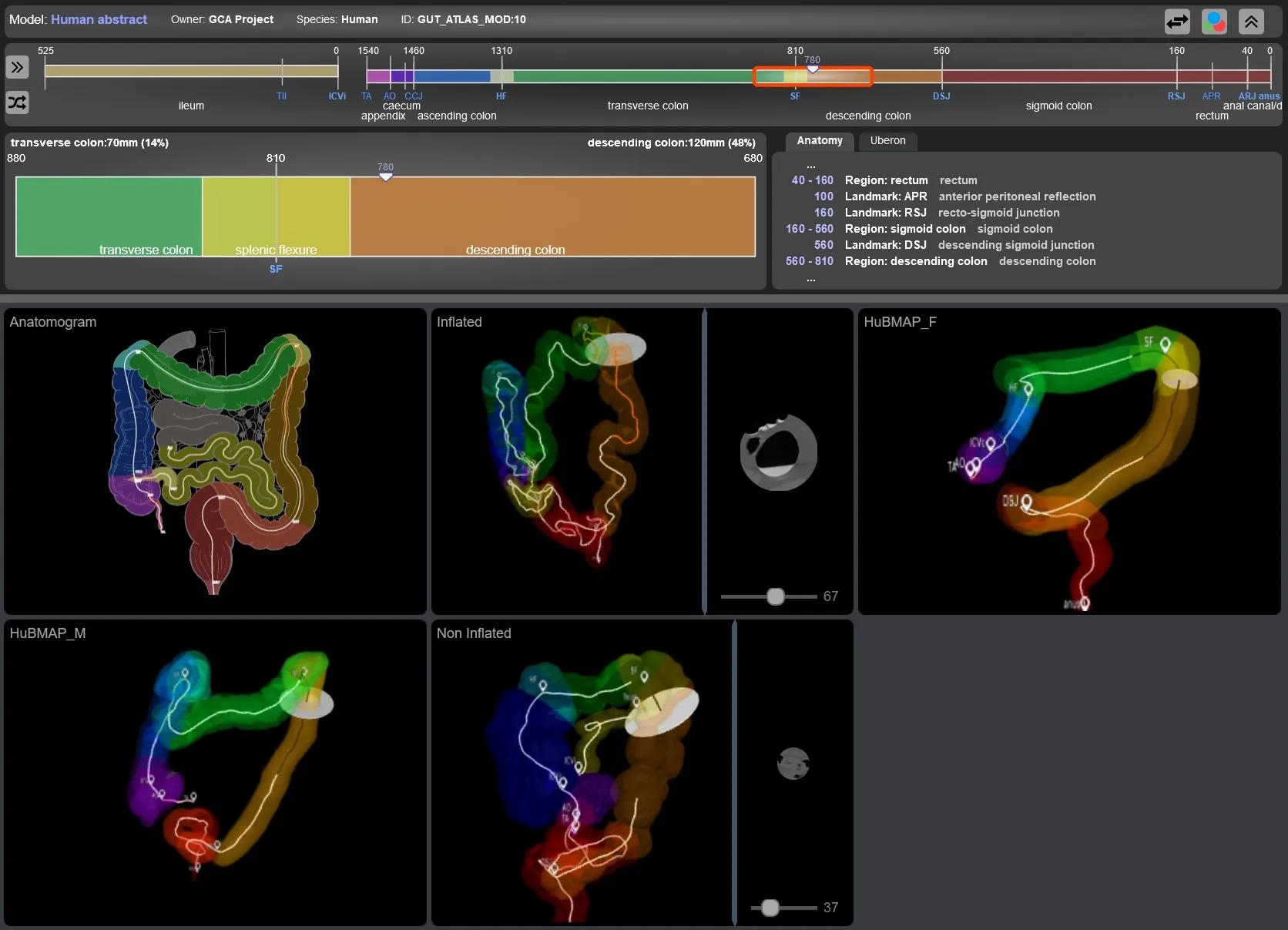 Helmsley GCA CCF viewer
